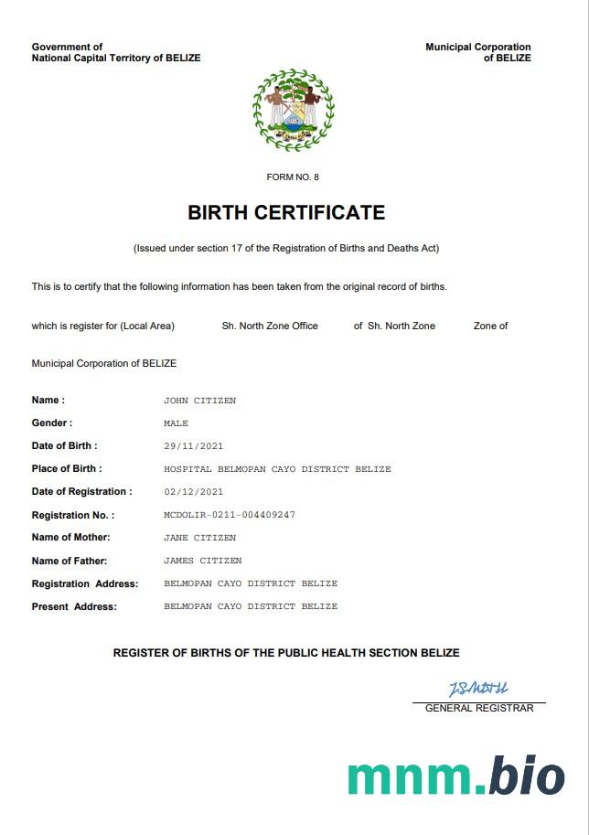 Belize rekord życiowy narodziny certyfikat Word i PDF szablon